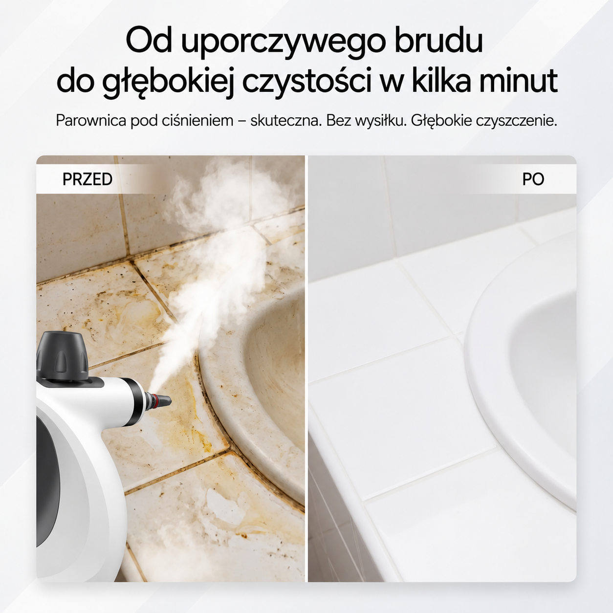 Vapora PureSteam Pro